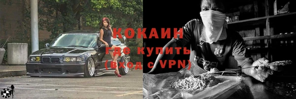 apvp Вяземский
