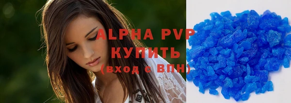 apvp Вяземский