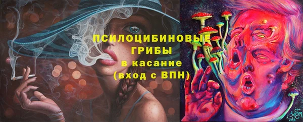 mix Надым