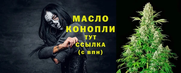 apvp Вяземский