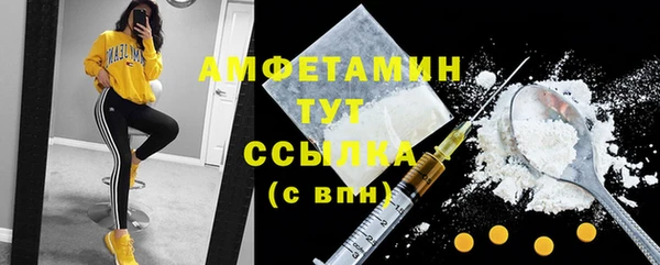 apvp Вяземский