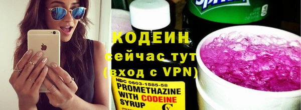 apvp Вяземский