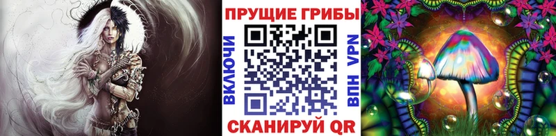 Псилоцибиновые грибы GOLDEN TEACHER KRAKEN онион Первомайск